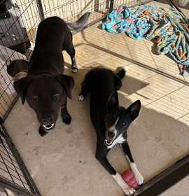 Photo of Jack & Sylphrena