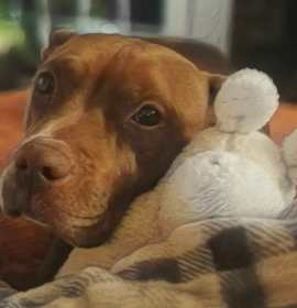 Photo of Mrs. Pillsbury FC Dorine J