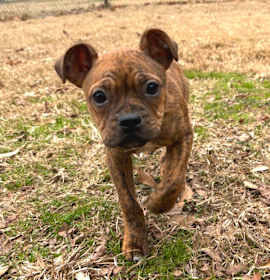 Photo of (Hold)(Found) Eggnog