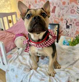 Photo of Theodore Lull