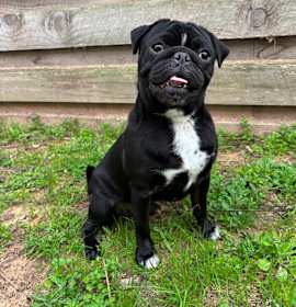 Photo of Butter ball