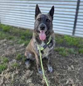 Photo of Misty copy #1