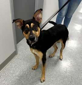 Photo of Michael Strayhan