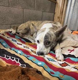 Photo of Playa Blanca