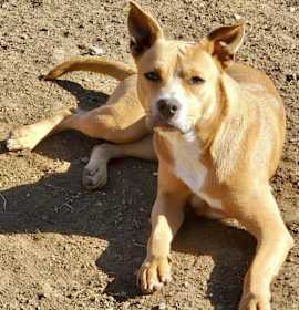 Photo of Mila (Fat Mama)