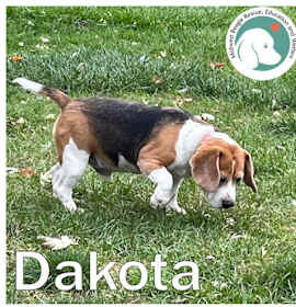 Photo of Dakota
