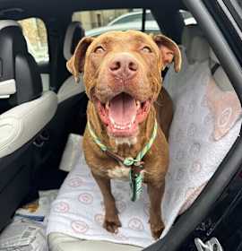 Photo of Leroy Brown