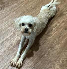 Photo of Tonya Marie