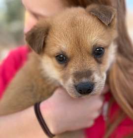 Photo of 879 (2025) Teddy