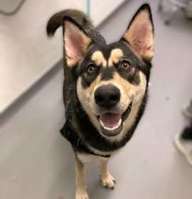 Photo of Mandy Moore