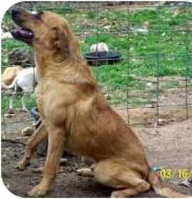 Photo of Charlie Brown