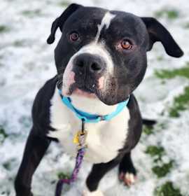 Dusty Dustin 41 photo 2