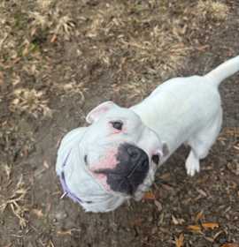 Photo of Trisha(HW+)