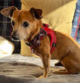 Photo of Salvador 13587