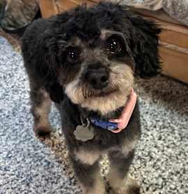 Photo of Prince Charmer