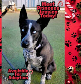 Photo of Princess Jessica