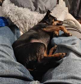 Willow Grace photo 4