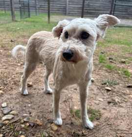 Photo of Nancy Wheeler