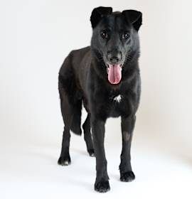 Photo of Homebrew 13529