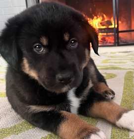 Photo of Plow Bunyon