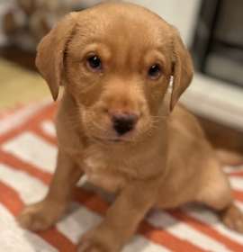 Photo of Clark W Blizzwold