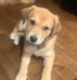 Photo of Betty Whiteout