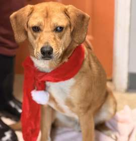 Photo of Charlie Brown