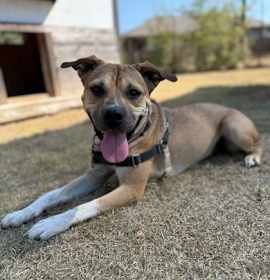 Photo of Dixie 9-4-25