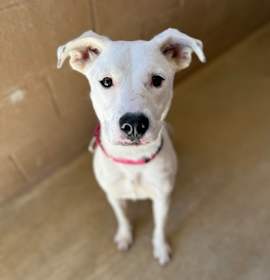 Photo of Alina 6-14-25