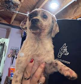 Photo of Charlotte CCAS