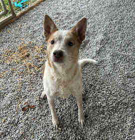 Photo of Lady Gaga (Kali) 