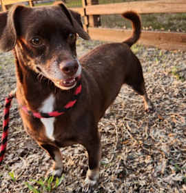 Photo of Benjamin Button