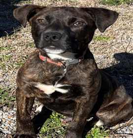 Photo of GUNNER STOCKTON