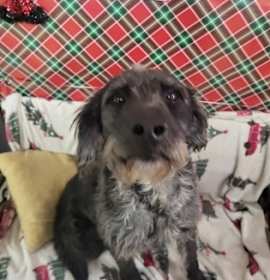 Photo of Edgar ( alan poe)