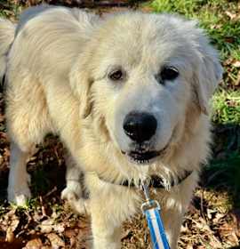 Photo of Artic Blast