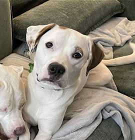 Photo of WISHY WASHY