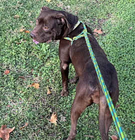 Journey (C000-631)- City of Industry  photo 4