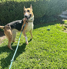 Barksdale (C000-502) - Chino Hills Location photo 4