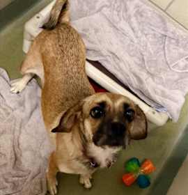 Photo of MINI CHEESECAKE