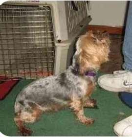 Photo of Lilly and Sara