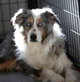 Photo of Forest (JN25-164)