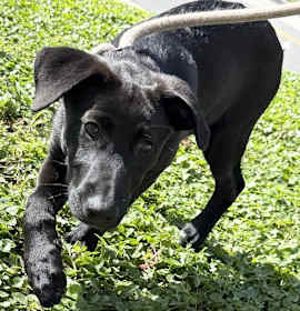 Photo of Lieutenant FH