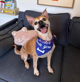 Photo of Patrick Swayze