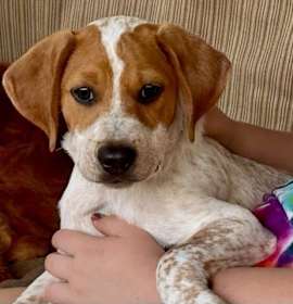 Photo of Cosmo Park Avenue