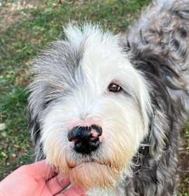 Photo of Annabelle 💗