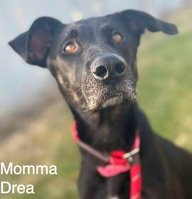 Calvin Countdown photo 3