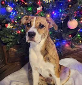 Photo of Noah JuM/AL