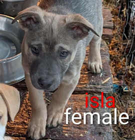 Photo of Isla Newberry