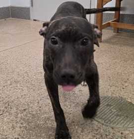 Photo of Little Mama