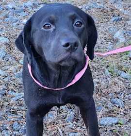 Photo of 251176  Paris